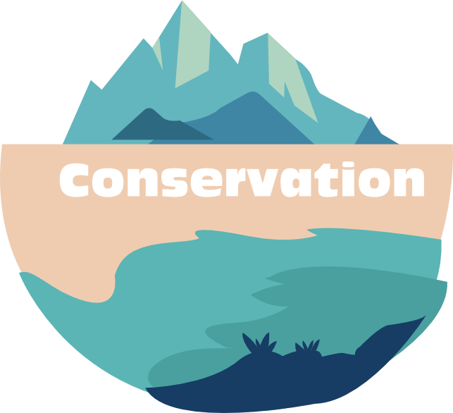 TNC red spruce restoration initiative